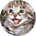 David M. profile picture